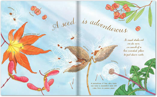 A_Seed_Is_Sleepy_Interior Read A Seed is Sleepy online